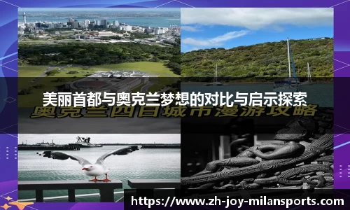 登录入口