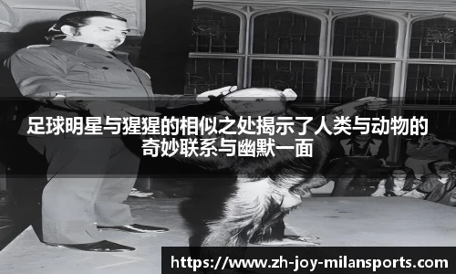 足球明星与猩猩的相似之处揭示了人类与动物的奇妙联系与幽默一面